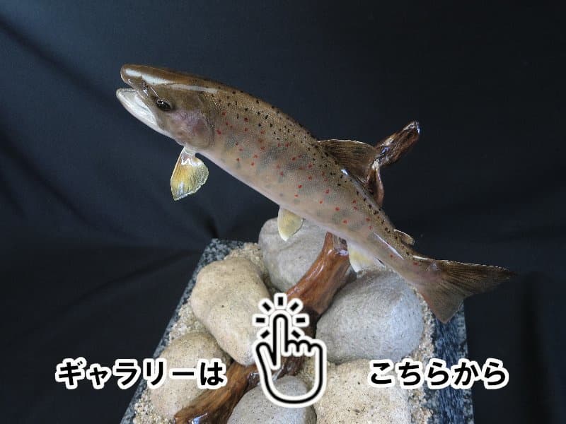 魚類剝製工房│東海釣魚堂