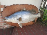 価格表 魚類専門はく製工房 東海釣魚堂 価格表 魚類専門はく製工房 東海釣魚堂