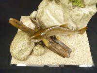 価格表 魚類専門はく製工房 東海釣魚堂 価格表 魚類専門はく製工房 東海釣魚堂